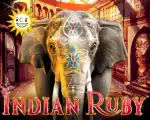 Indian Ruby